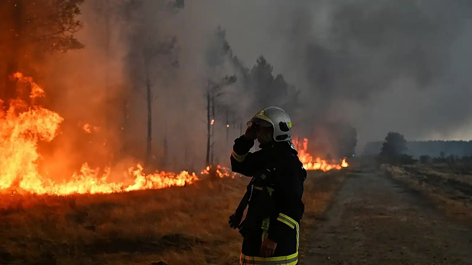 Incendies en Gironde et dans les Landes : merci aux pompiers, et comment leur rendre la pareille